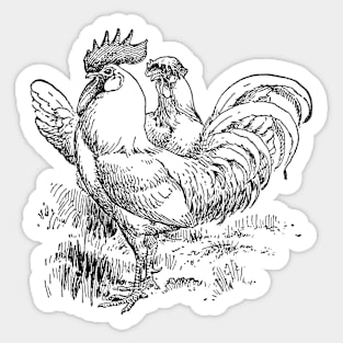 Rooster And Hen Design Sticker